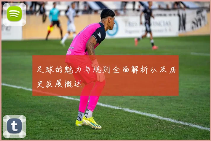 足球的魅力与规则全面解析以及历史发展概述