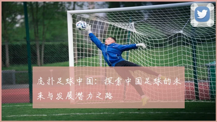 虎扑足球中国：探索中国足球的未来与发展潜力之路