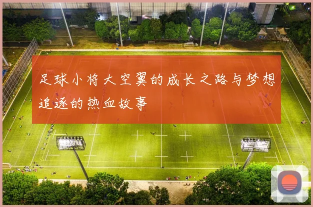 足球小将大空翼的成长之路与梦想追逐的热血故事