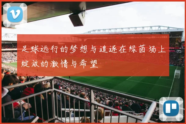 足球远行的梦想与追逐在绿茵场上绽放的激情与希望