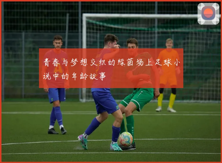 青春与梦想交织的绿茵场上足球小说中的年龄故事