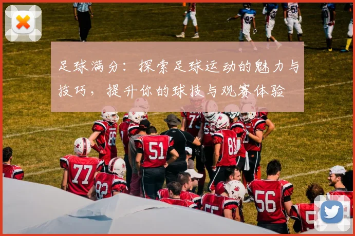 足球满分：探索足球运动的魅力与技巧，提升你的球技与观赛体验
