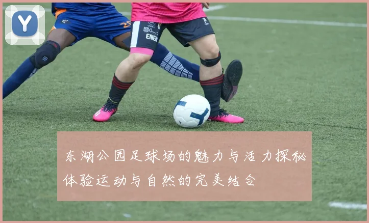 东湖公园足球场的魅力与活力探秘体验运动与自然的完美结合